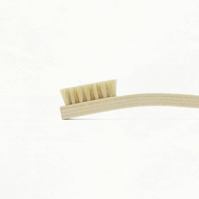 Tampico Hard Bristle Scrubbing Brush (2.5 x 7.5)